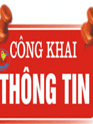 Công khai tài chính ngày 15/4/2021